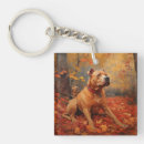 Search for pitbull key rings Pet