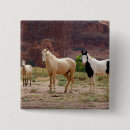 Search for reserved badges Animal