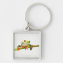Search for stem key rings Nature