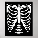 Search for cat anatomy posters Autumn