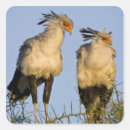 Search for ralph stickers Wildlife