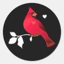 Search for cardinal labels Elegant