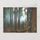 Search for smokey postcards Forest