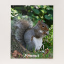 Search for red squirrel puzzles Squirrels