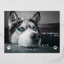 Search for husky christmas cards Elegant