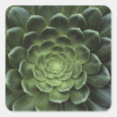 Search for complex stickers Green