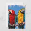 Search for macaws invitations Birds