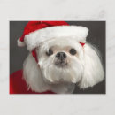 Search for events christmas cards Photography