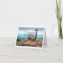 Search for aussie christmas cards Emu