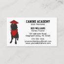 Search for obedience Dog training