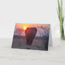 Search for african sunset cards Elephant
