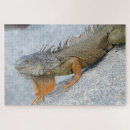 Search for key west florida puzzles Ocean