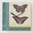 Search for insect art Decorative
