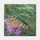 Search for macro magnets Wildlife