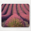 Search for provence mousepads Colourful