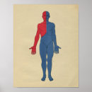 Search for lymphatic system posters Anatomy