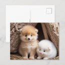 Search for cute baby animals postcards Postcrossing