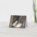 Search for pet rat cards Rodent