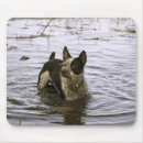 Search for heelers mousepads Queensland
