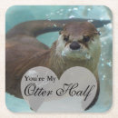 Search for river otter Mammal