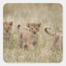 Search for reservation stickers Nature
