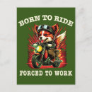 Search for born to ride postcards For him