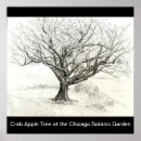 Search for pen and ink drawing posters Tree