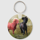 Search for icelandic horse Horses