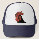 Search for avian hats Nature