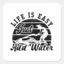 Search for water ski stickers Jet skiing