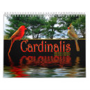 Search for cardinalis Birds