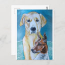 Search for perros postcards Dog