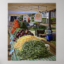 Search for vegetal posters Plant