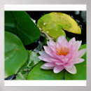 Search for dharma art Buddha