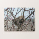 Search for empty photography Nest
