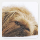 Search for head shot stickers Close up