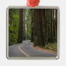 Search for road christmas tree decorations California