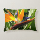 Search for tropical birds cushions Hawaii