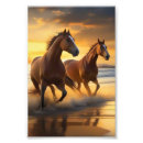 Search for beautiful scenery posters Animals