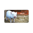 Search for farming return address labels Farm life