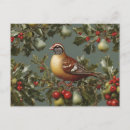 Search for 12 days of christmas postcards Partridge