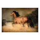 Search for galloping mare Nature