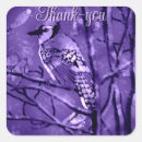 Search for blue jay stickers Purple