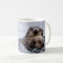 Search for baby otter mugs Animals in the wild