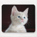 Search for cutie mousepads Animal