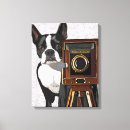 Search for boston canvas prints Animals