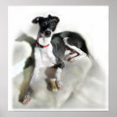 Search for regal posters Dog