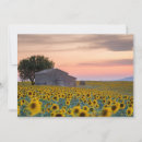 Search for provence cards Landscape