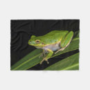 Search for frogs blankets Usa
