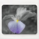 Search for iris mousepads Nature